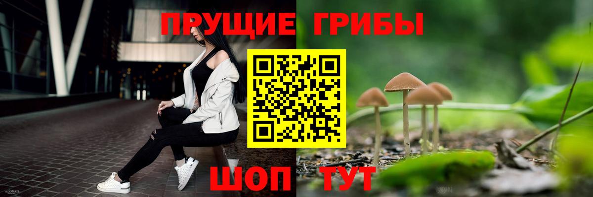 Галлюциногенные грибы Psilocybine cubensis  Галлюциногенные грибы Psilocybine cubensis  Вход с VPN  Орехово-Зуево 